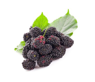 Blackberry beyaz arkaplanda izole edildi 