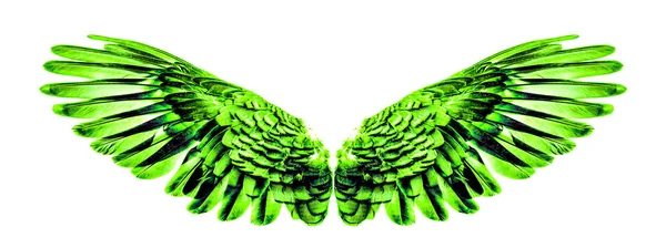 Πράσινο Angel φτερά ένα απομονωμένο σε λευκό φόντο — Φωτογραφία Αρχείου