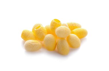 Sarı Tayland ipek böceği kozaları beyaz arka planda izole edilmiş..