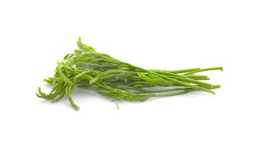 Beyaz arka planda Leucaena