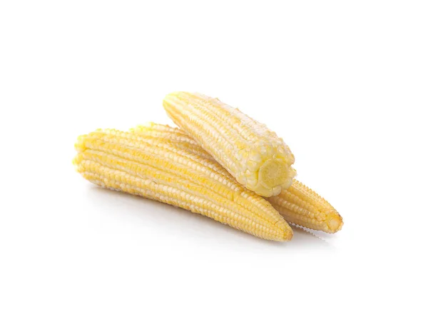Baby maïs op een witte achtergrond — Stockfoto