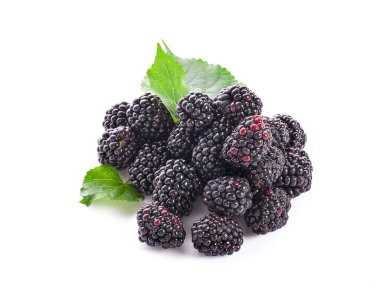 Olgun Blackberry kırpma yolu ile beyaz arkaplan izole 
