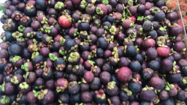Zdravé Plody Červené Mangoprašové Pozadí Tmavý Mangostana Tmavý Mangostana Supermarketu — Stock video