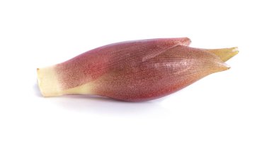 Beyaz arkaplanda çiçek açan muz izole 