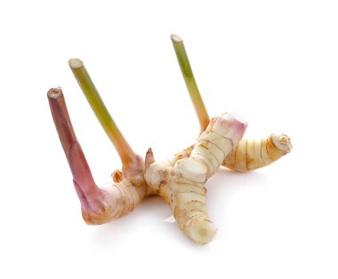 Beyaz arkaplanda izole edilmiş taze galangal