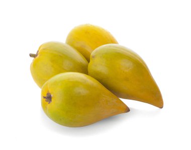 Yumurta meyve, Canistel, sarı sapot (Pouteria campechiana (Kunth)