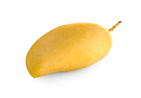 Mango isolato su fondo bianco — Foto Stock