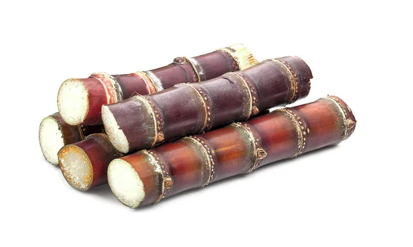 Sugar cane an isolated on white background — Stock Photo, Image