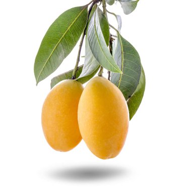 Tatlı tatlı Marian Erik Tay meyve üzerinde beyaz adam izole