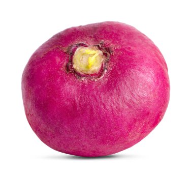 turp beyaz arkaplanda izole edildi