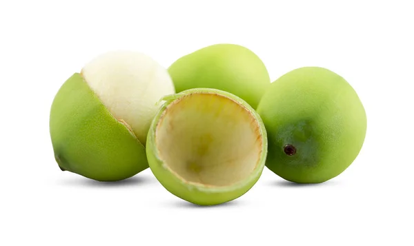 lotus tohumu veya bir lotus tohumu içinde acı filiz