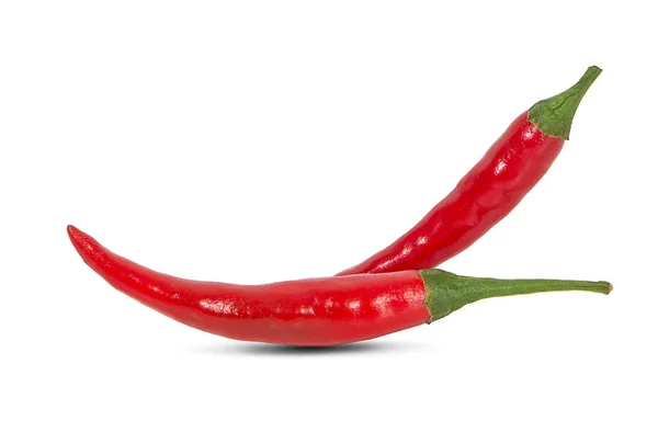 Röd chili peppar på vit bakgrund — Stockfoto