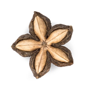 Sacha inchi yerfıstığı tohumu beyaz arka planda izole edildi