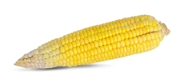 Ähren von Mais isoliert auf weißem Hintergrund — Stockfoto