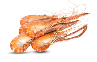 Beyaz arka plan üzerinde yanmış karides