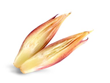 Beyaz arkaplanda Myoga izole edildi