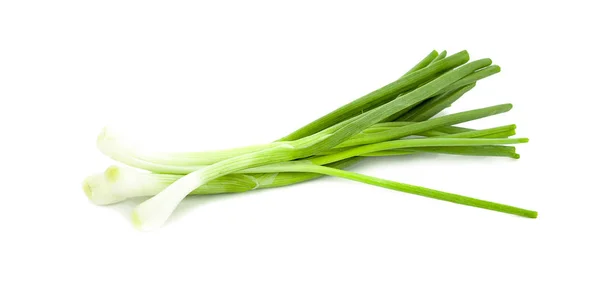 Cipolla verde isolata sullo sfondo bianco — Foto Stock
