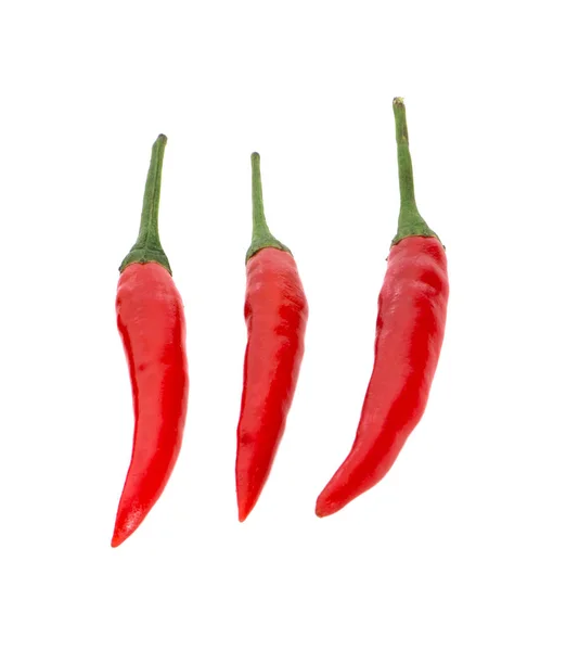 Pimentos de pimenta vermelha sobre fundo branco — Fotografia de Stock
