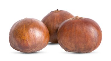 Taze kestane beyaz arka plan üzerinde izole