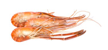 Beyaz arka plan üzerinde Closeup shirmp, ızgara