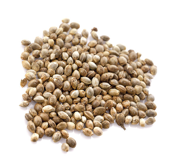 Heap of hemp seeds on white background