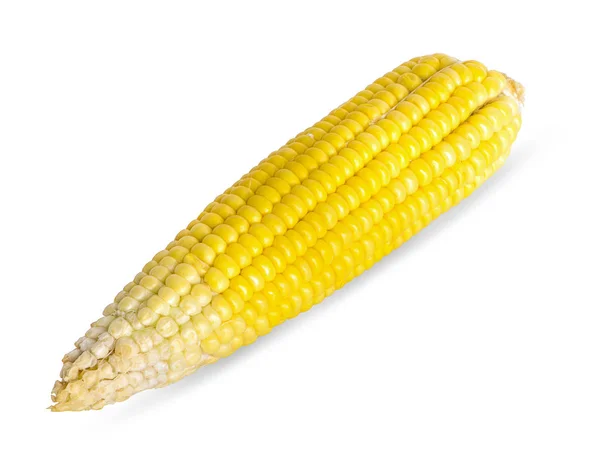 Single ear of corn isolated on white background — Stock Photo, Image