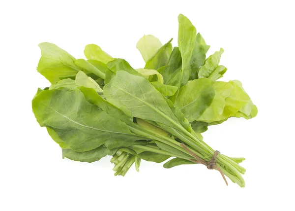 Chinese kale vegetable isolated on white background — Stock Photo, Image