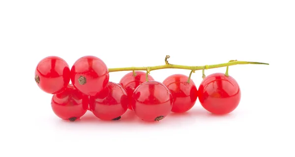 Fruta Groselha Vermelha Close Isolado Branco — Fotografia de Stock