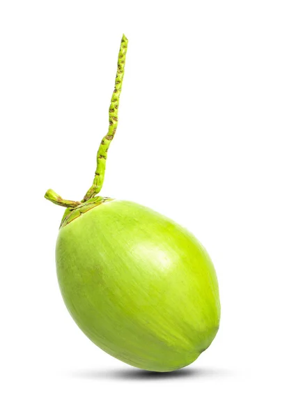 Green coconut on the white background — Stock Photo, Image