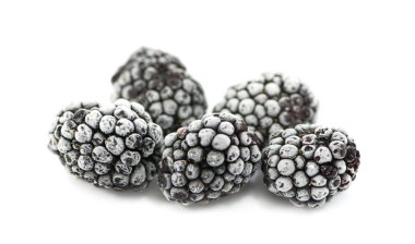 Donmuş böğürtlenler beyaz arkaplanda izole