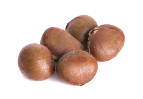 Castagne Fresche Isolato Sfondo Bianco — Foto Stock