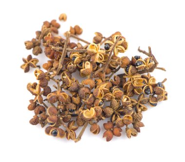 Beyaz arka planda Zanthozylum limonella Alston