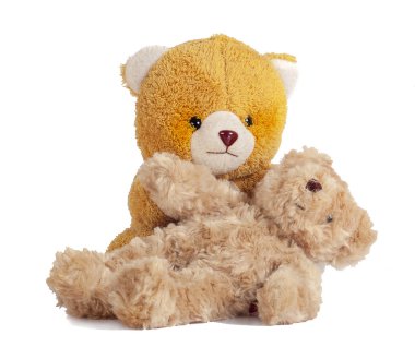 Oyuncak ayı beyaz arkaplanı izole ediyor