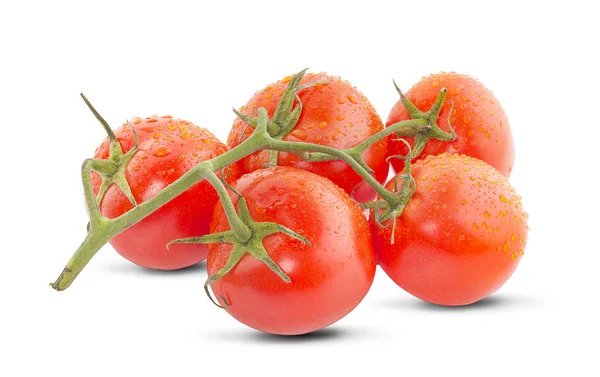 바탕에 분리되어 토마토 — 스톡 사진