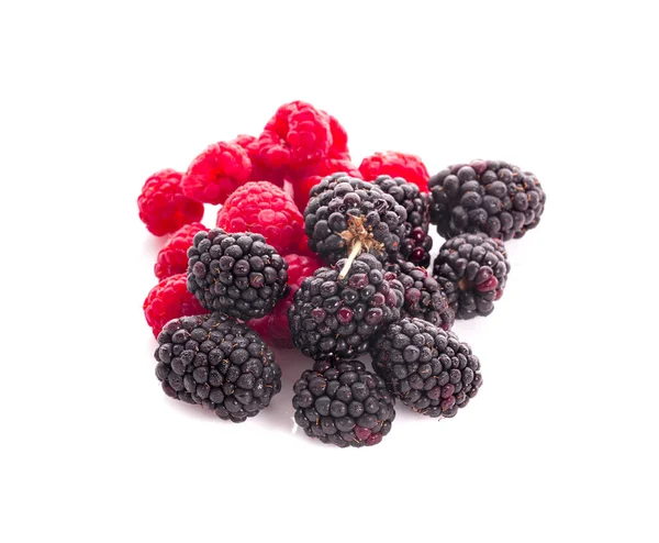 黑莓和覆盆子在白色背景上被隔离 — 图库照片