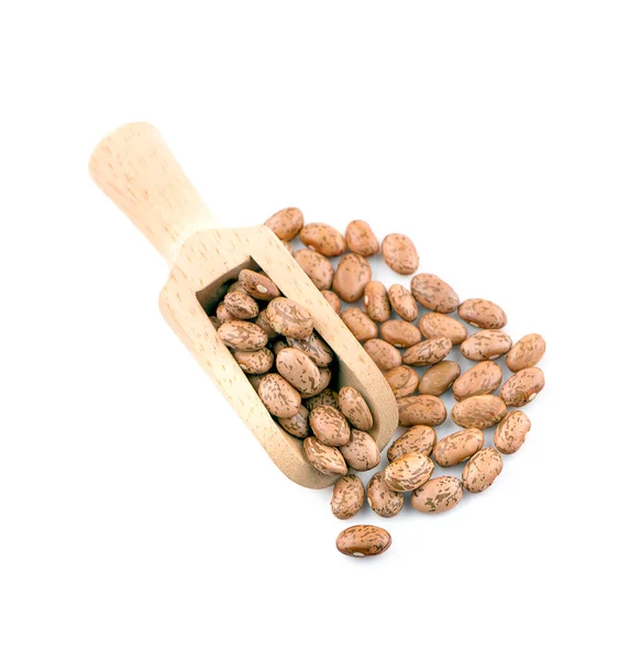 Pinto Beans Isolated White Background — Stock Photo, Image