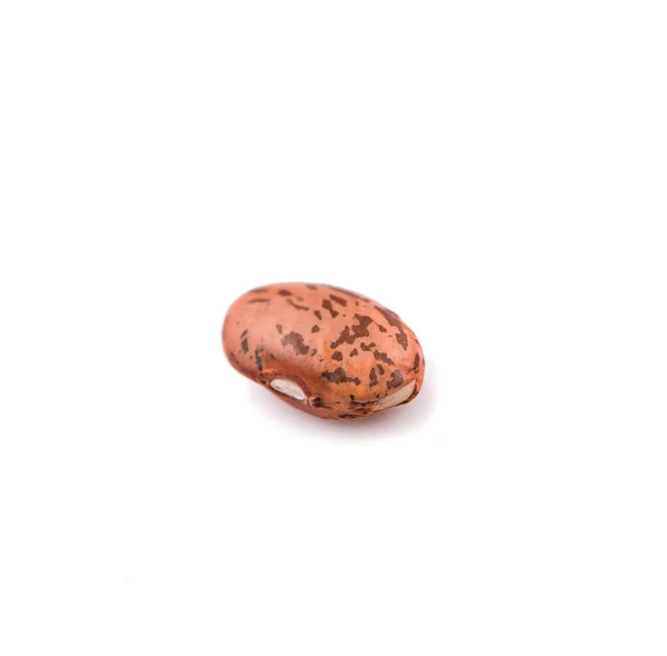 Pinto Bean Isolated White Background — Stock Photo, Image