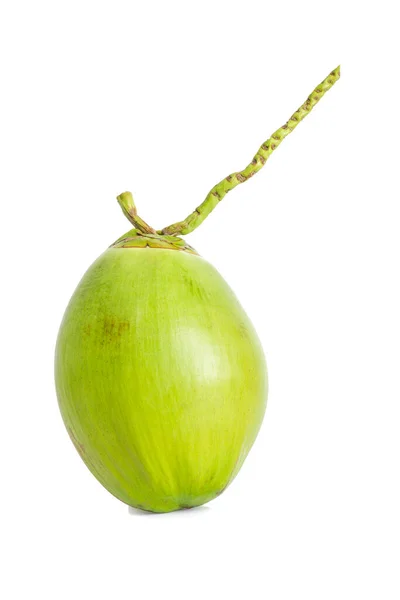 Green Coconut Fruit Isolated White Background — Stock Photo, Image