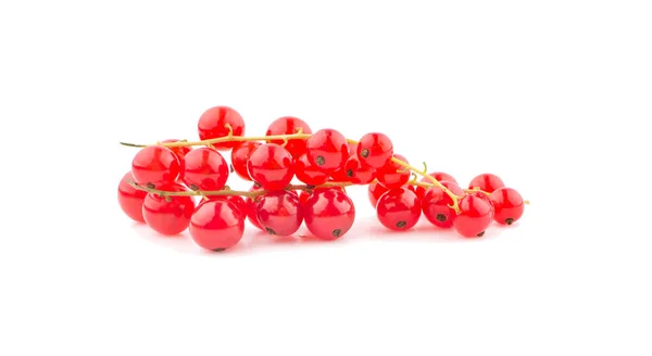 红醋栗浆果 白色背景的孤立物 — 图库照片