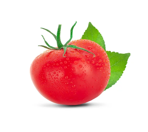 Tomaten Eine Isolierte Auf Weißem Hintergrund — Stockfoto