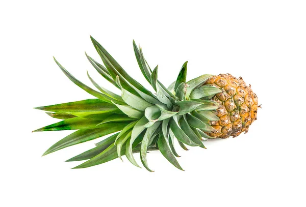 Single Whole Pineapple Isolated White Background Clipping Path — Stock Photo, Image