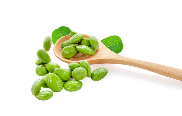 Bitter Bean Isolated White Background Clipping Path — Stock Photo, Image