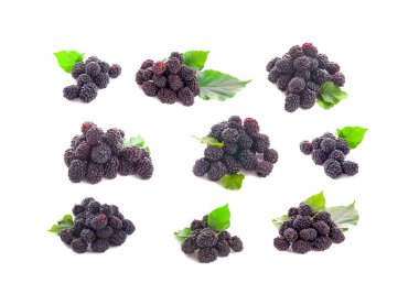 Olgun Blackberry kırpma yolu ile beyaz arkaplan izole.