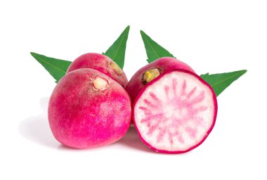 Beyaz arka planda yaprağı olan küçük bir turp.