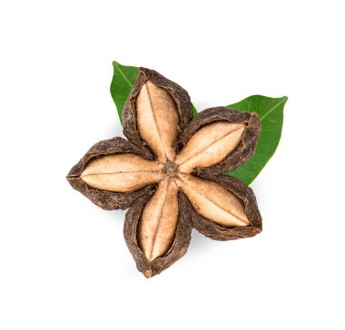 Sacha inchi yerfıstığı tohumu beyaz arka planda izole edildi