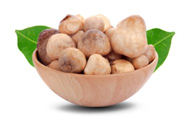 Beyaz arkaplanda izole edilmiş bir mantar