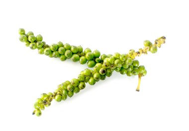 Taze biber beyaz arka planda izole edilmiş