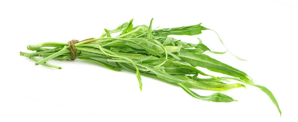 Water Spinach Morning Glory White Background — Stock Photo, Image