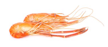 Beyaz arkaplanda yanmış karides izole edilmiş