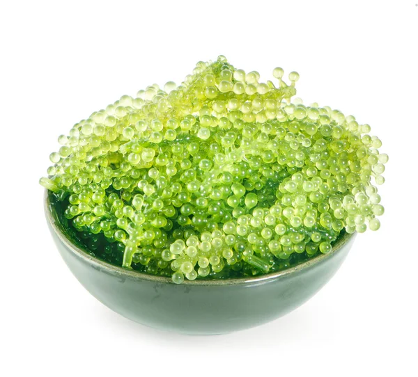 Beyaz arka planda izole edilmiş deniz yosunu (yeşil havyar)